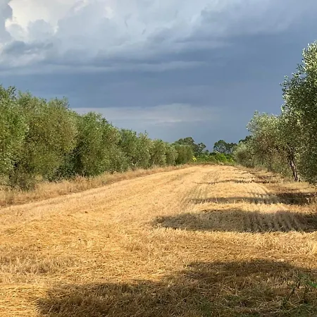 Farm stay Beveraggio Marina di Grosseto